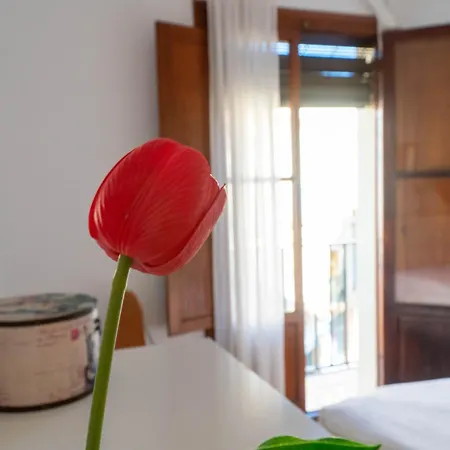 Light House Sherry Apartment *